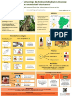 Etnobotánica y etnofarmacología de Monteverdia krukovii en Amazonía uso ancestral del chuchuwasu.pdf