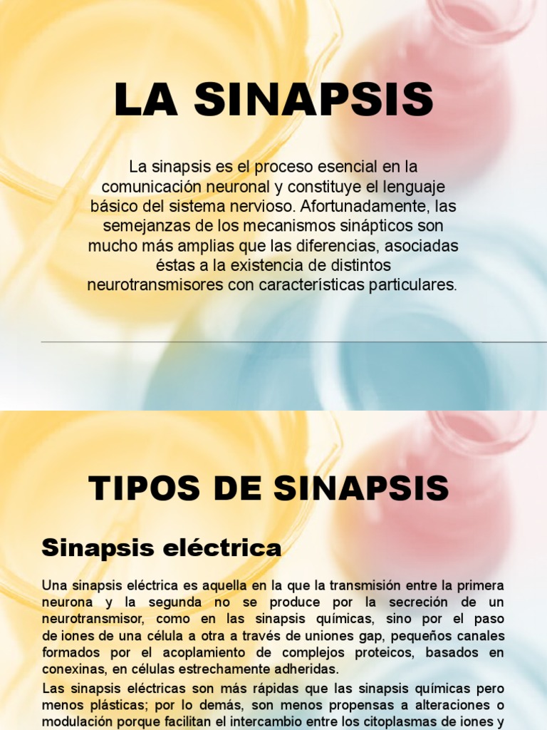 Tipos y Proceso de la Sinapsis Neuronal | PDF | Sinapsis | Sinapsis química