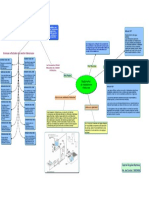 Mapa conceptual