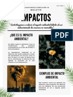 Copia de Blanco y Negro Minimalista Tropical Correo Electrónico Boletín