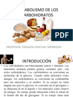 Metabolismo de Los Carbohidratos