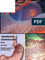 2012 Ulcerul Gastric Si Duodenal