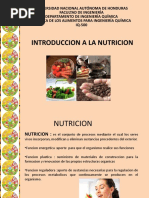 Introduccion a la Nutricion