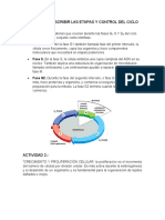 Actividad 1 y 2