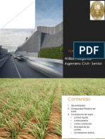 Clase 04 Compacidad Relativa y Consistencia PDF