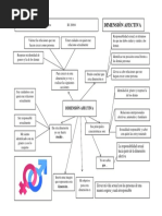 Formato 07 - Dimensión Afectiva