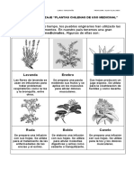 Las Plantas Chilenas de Uso Medicinal