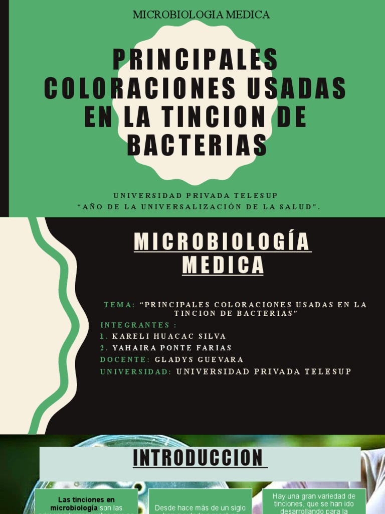 Coloraciones Microbiológicas Esenciales | PDF | Tinción | Las bacterias