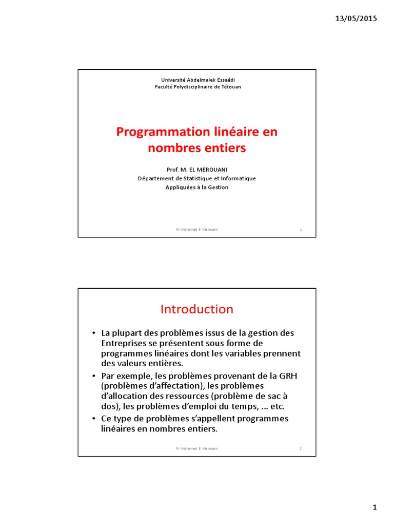 Programmation Linéaire Entière : Méthodes et Limites | PDF ...