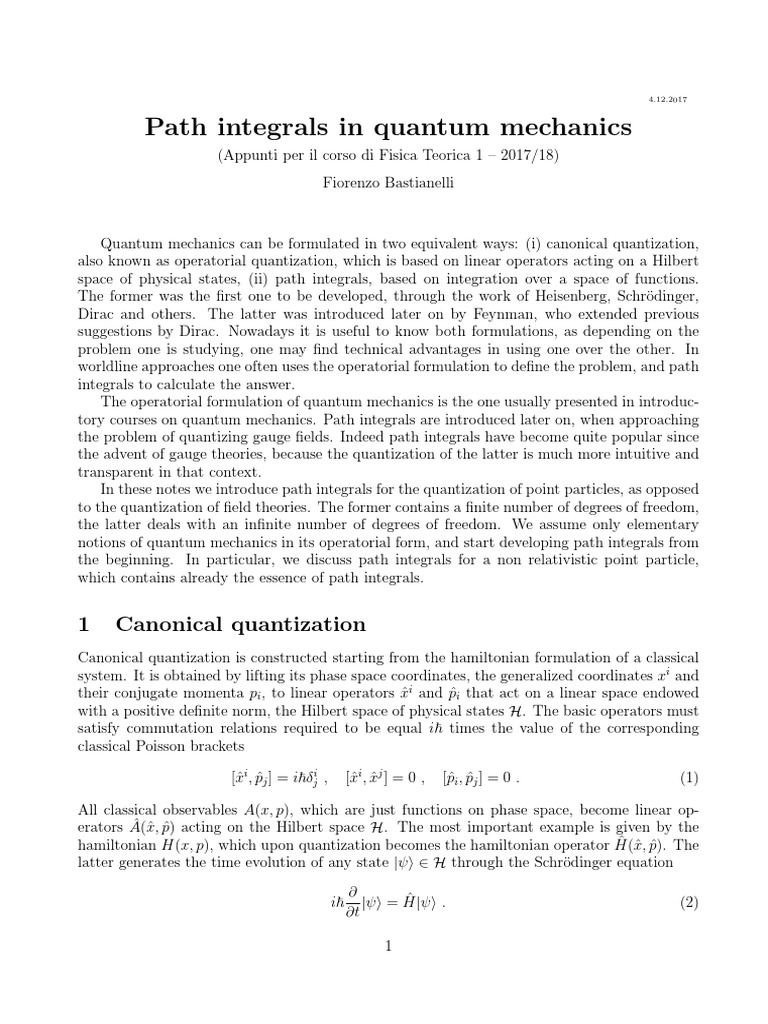 Path Integrals in Quantum Mechanics | PDF | Quantization (Physics ...