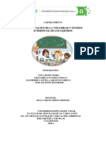 Determinacion de La Viscosidad y Tension Superficial de Los Liquidos