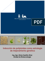 Presentación Alicia Castillo PDF