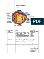 Indah Hairu Santi F1D018048_Alat Organ Penglihatan.docx