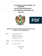 Biodiversidad Paracas, San Andres, Pisco y Cerro Condorcunca