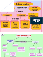 FARMACOLOGIA DEL SISTEMA NERVIOSO AUTONOMO