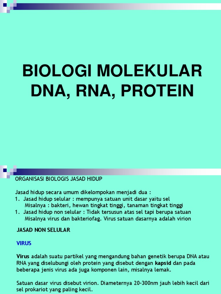 DNA, RNA Dan PROTEIN | PDF | Sains & Matematika