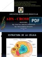 ADN - CROMOSOMA 2020-I -parte1.pdf