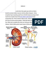 NEFRON