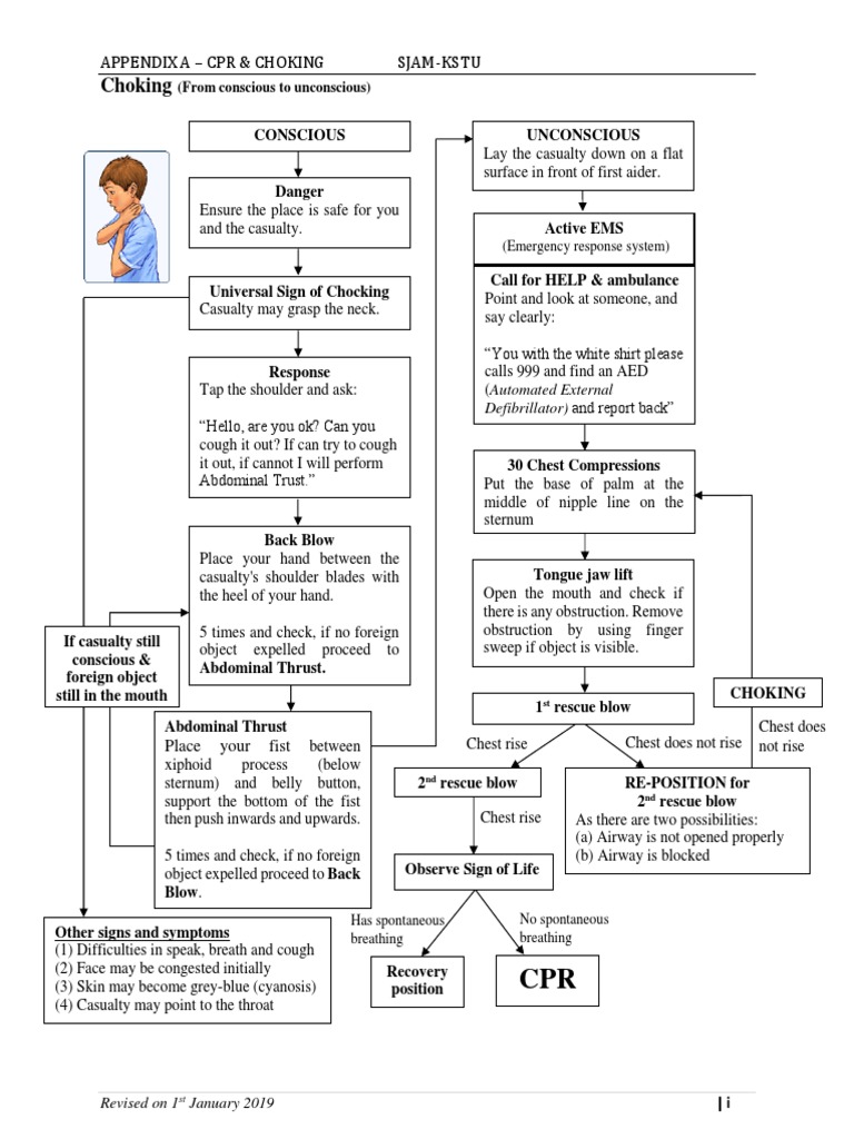 CPR & Choking First Aid Guide | PDF | Cardiopulmonary Resuscitation ...