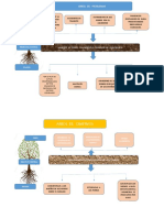 Arbol de Problemas - Objetivos y Alternativas