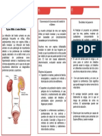 Trifo EB 2