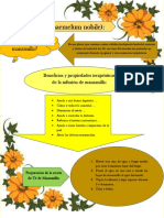 Quimica Planta Medicinal Saury D. Dominguez Alvarez