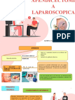 PRACTICA DE APENDIC