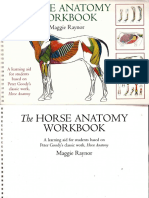 The Horse Anatomy Workbook PDF