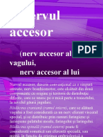 accesor