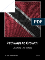 Pathways To Growth - Charting Our Future 2 PDF