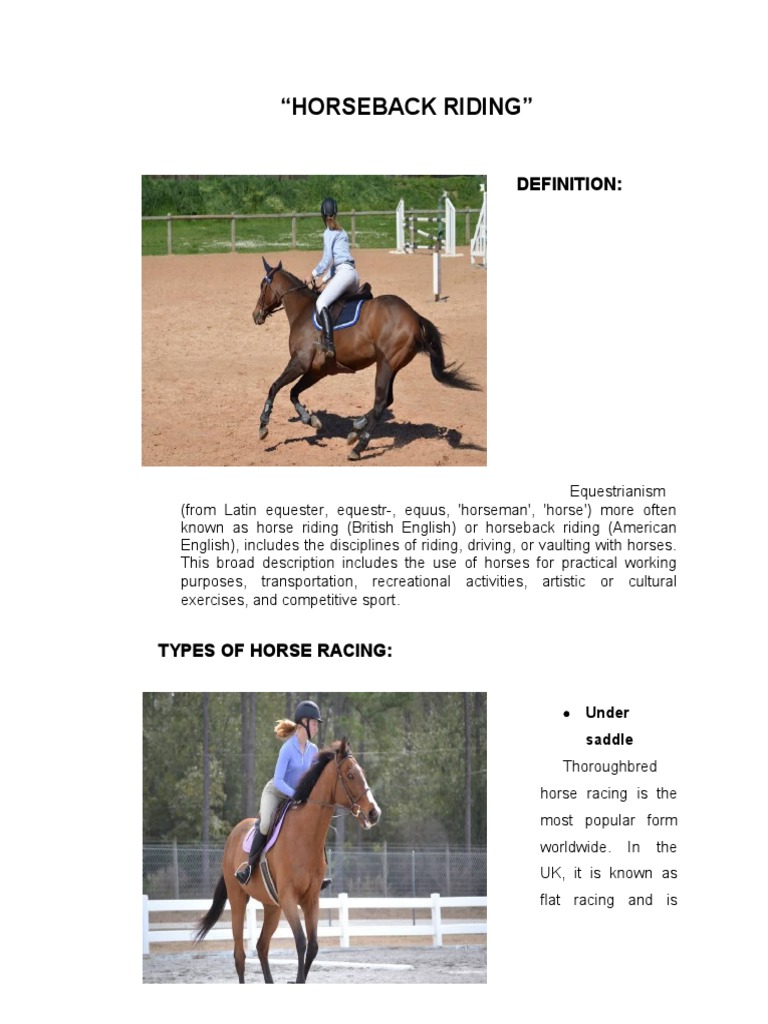 "Horseback Riding" Definition PDF Equestrianism Horses