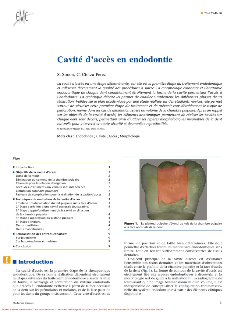 Cavite D Acces En Endodontie Dent Humaine Dent