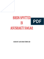 Birds Spotted in Anushakti Nagar