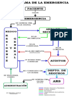 Organigrama Emergencia Auditoria Medica