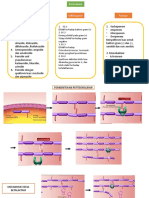 Farmakodinamik Tutor Modul 2 Blok 7