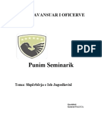 Punim Seminarik