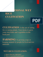 Traditional Wet Rice Cultivation
