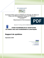 Rapport - Synthèse Ver 27 Oct 2009