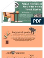 Kelompok 1 - Anatomi Dan Fisiologi Jantan Dan Betina Ternak Kerbau - Reproduksi Ternak