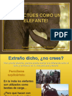 Elefante - límites.pps