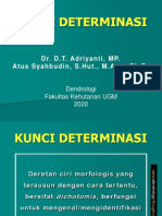 Kunci Determinasi - Dendrologi PDF