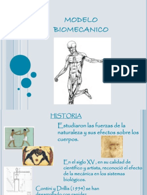 Clase 7 MODELO BIOMECANICO | PDF | Biomecánica | Factores humanos y  ergonomía