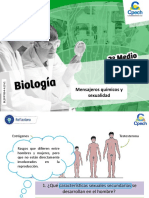 (R4)MAS NEM BL2 PPT Clase 4 Mensajeros químicos y sexualidad 2019