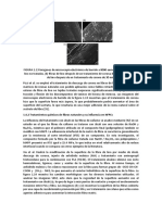 FIGURA 1.docx