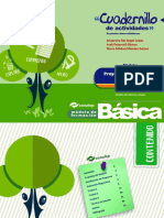 Proyeccion Personal y Profesional PDF