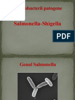 salmonella-shigella-pp (2)