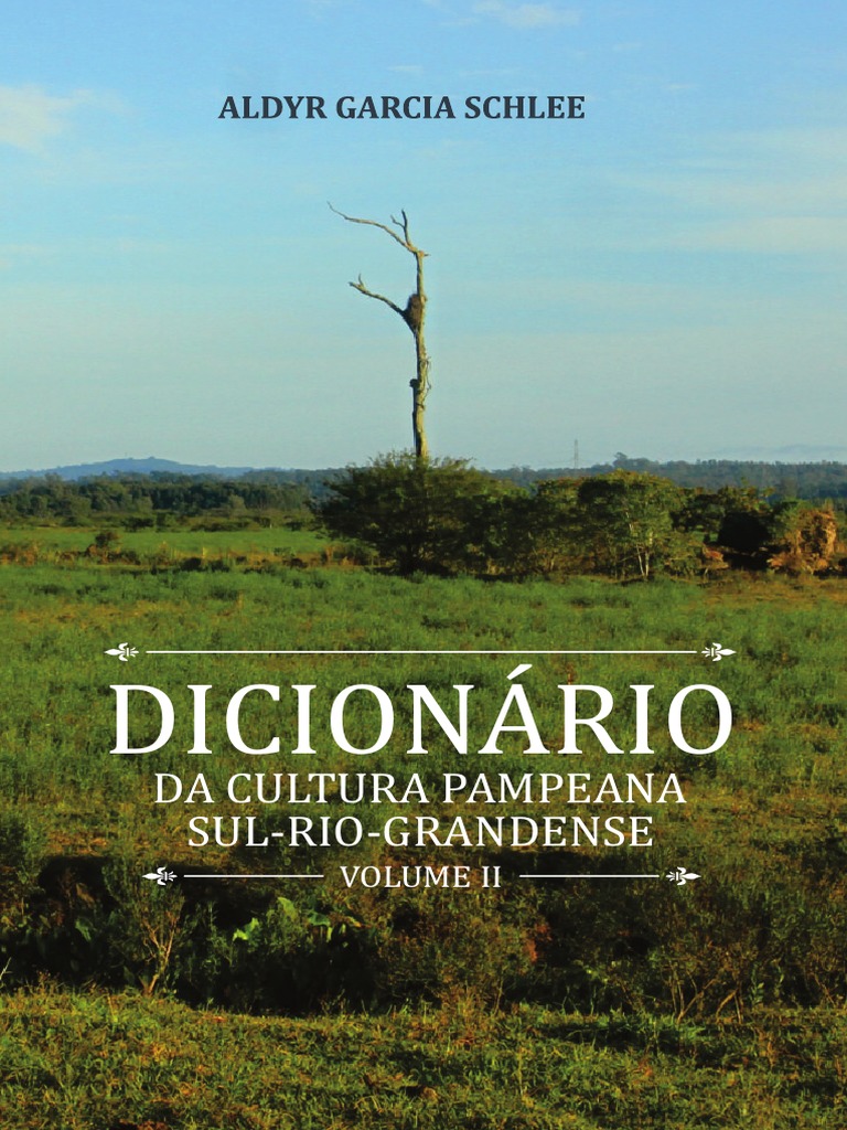 Dicionario Pampeano VOLUME - II, PDF, Acordeão