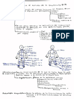 Métodos para El Estudio de La Anatomía