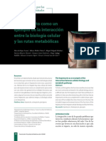 Lectura 12 - El Hepatocito Como Un Ejemplo de La Interacción Entre La Biología Celular y Las Rutas Metabólicas PDF