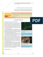 BIODIVERSIDAD EN CRSIS